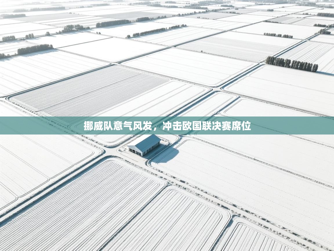 挪威队意气风发，冲击欧国联决赛席位  第1张