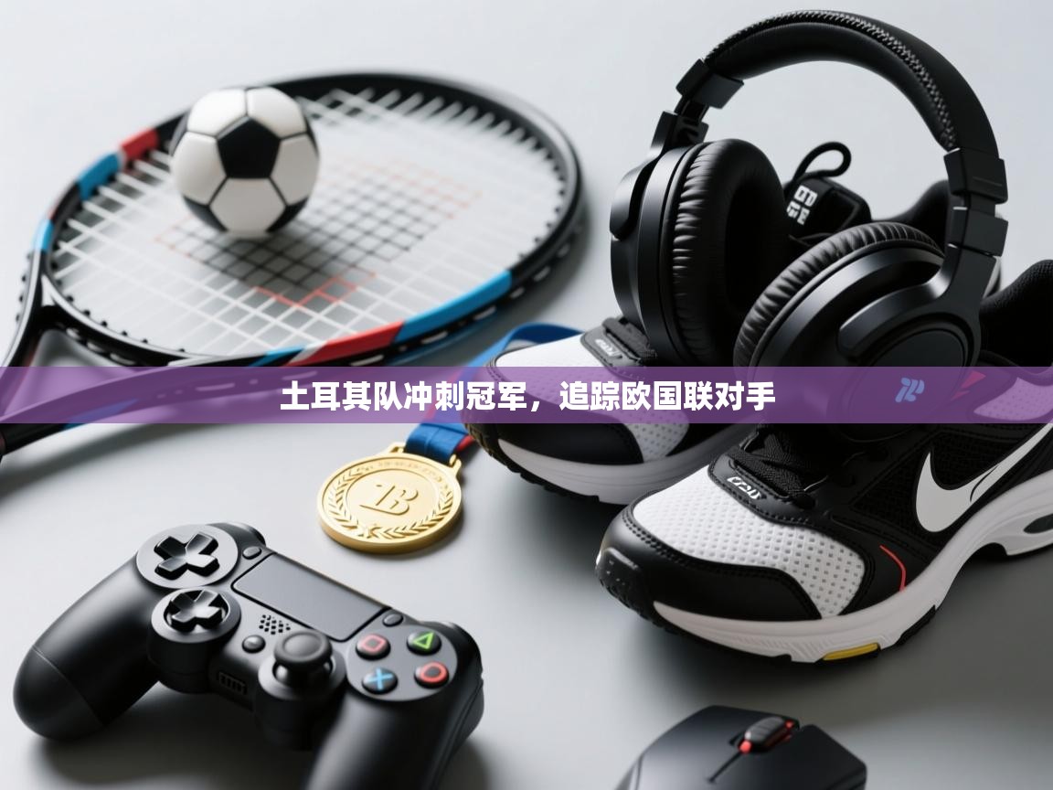 土耳其队冲刺冠军,追踪欧国联对手 第1张