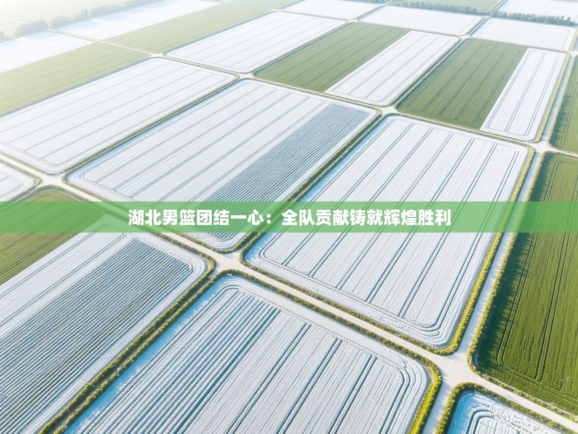 湖北男篮团结一心：全队贡献铸就辉煌胜利  第2张