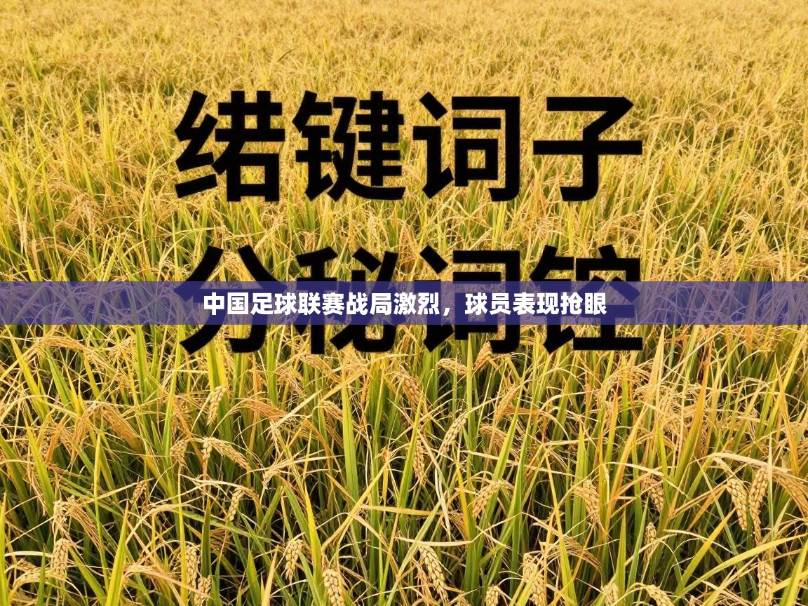 中国足球联赛战局激烈，球员表现抢眼  第1张