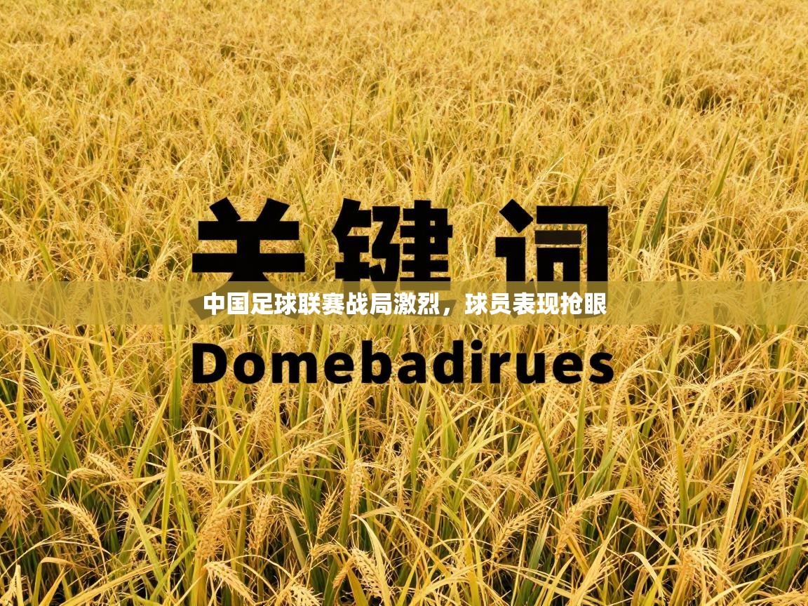 中国足球联赛战局激烈，球员表现抢眼  第2张