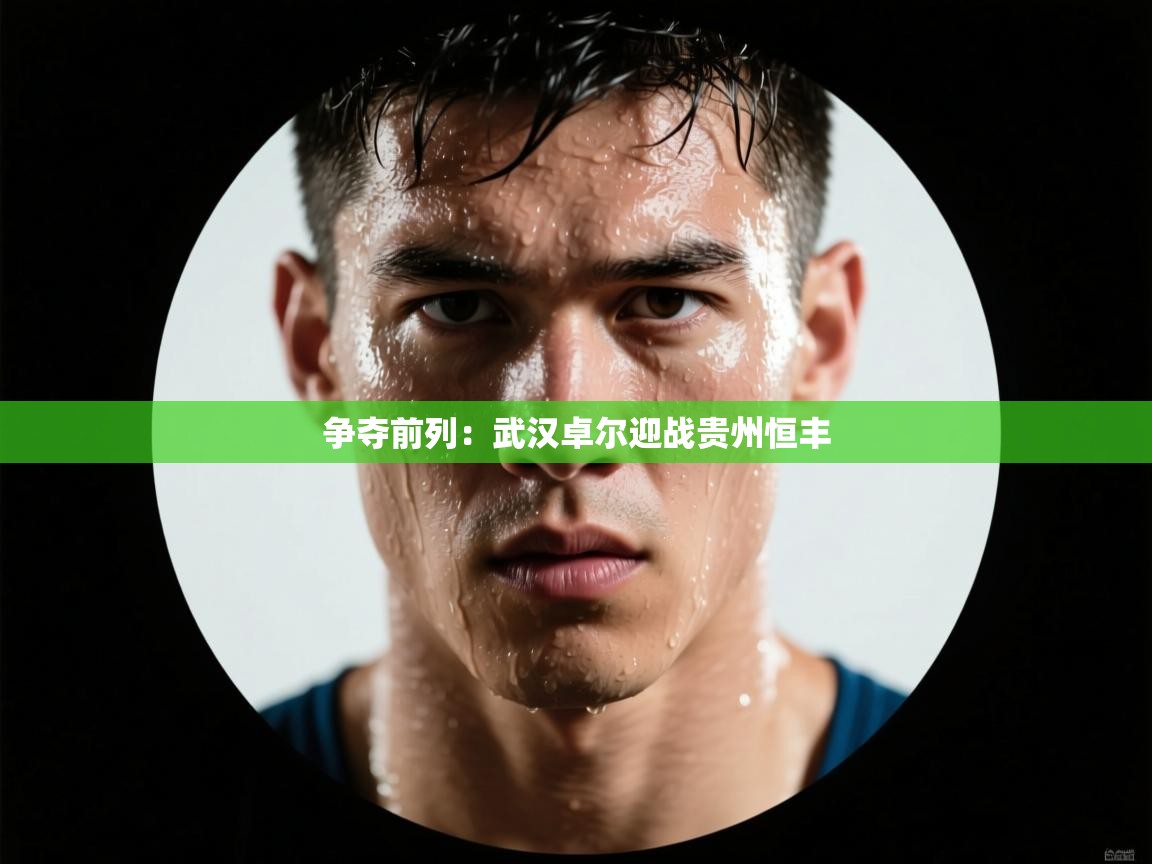 争夺前列:武汉卓尔迎战贵州恒丰 第2张